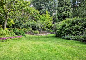Optimiser l'expérience du jardin à Quarre-les-Tombes